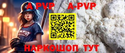 хмурый Кингисепп