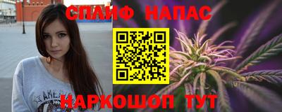 хмурый Кингисепп