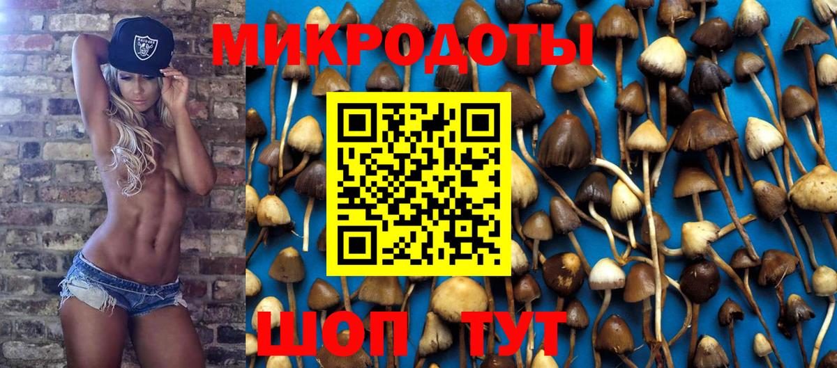 Дубна  Псилоцибиновые грибы Psilocybine cubensis  Вход с VPN 
